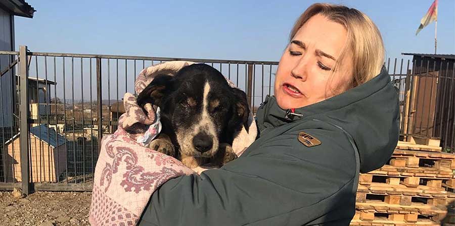 Nel villaggio di Novonikolsk, in Russia, un cane ritenuto senza vita viene sepolto e riesce a salvarsi, tornando dai suoi proprietari pochi giorni dopo.