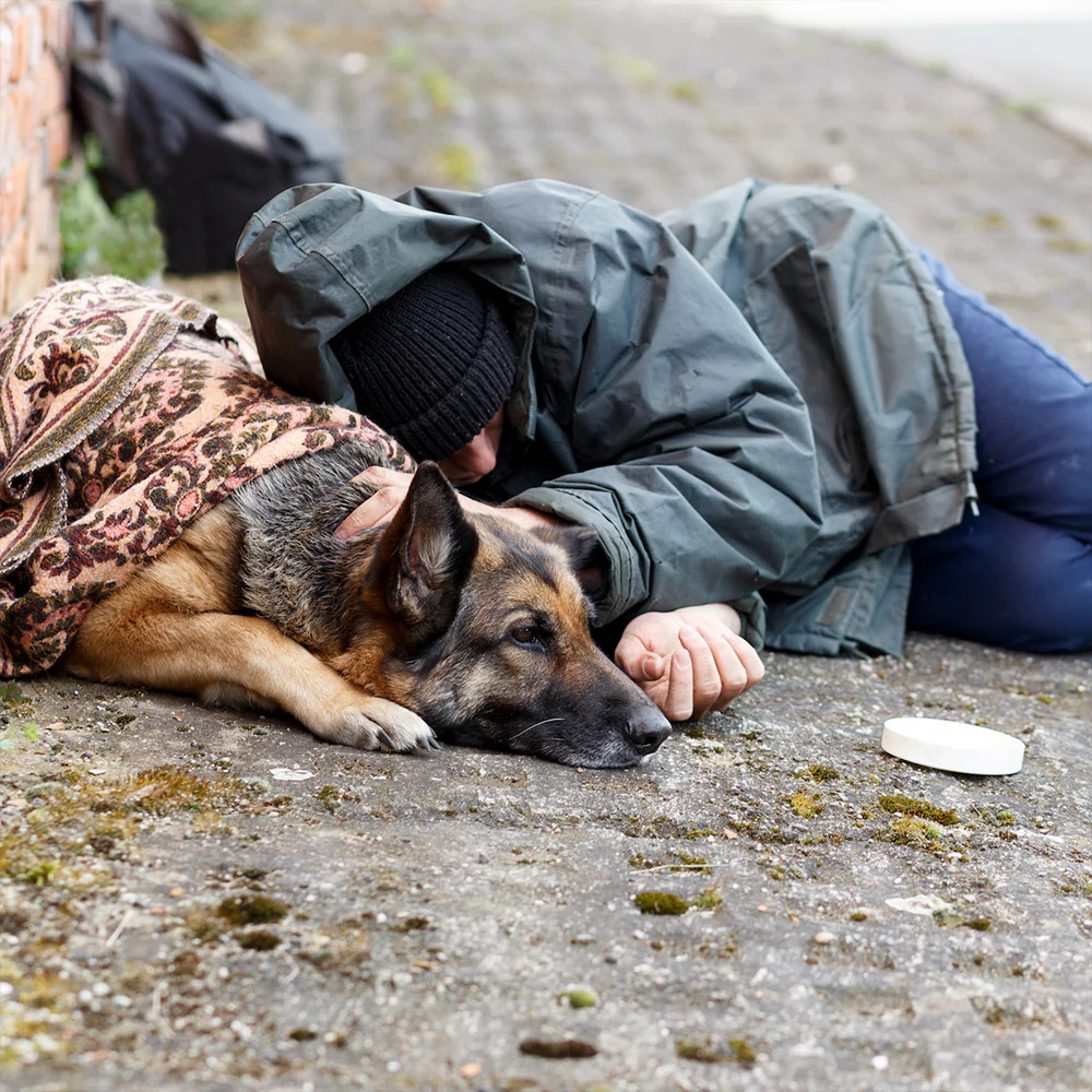 Un veterano viveva accanto a una casa abbandonata con il suo cane. Un pasto caldo ha avviato una catena di aiuti che ha cambiato per sempre la loro vita.