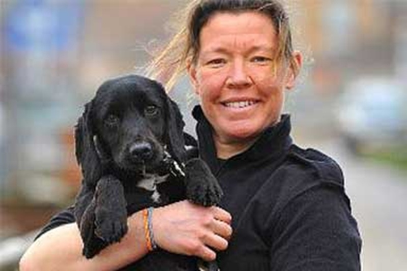 Dal rifiuto alla divisa: Badger, Cocker Spaniel salvato nel Regno Unito, abbandonato da cucciolo, diventa cane poliziotto grazie a un talento scoperto per caso.