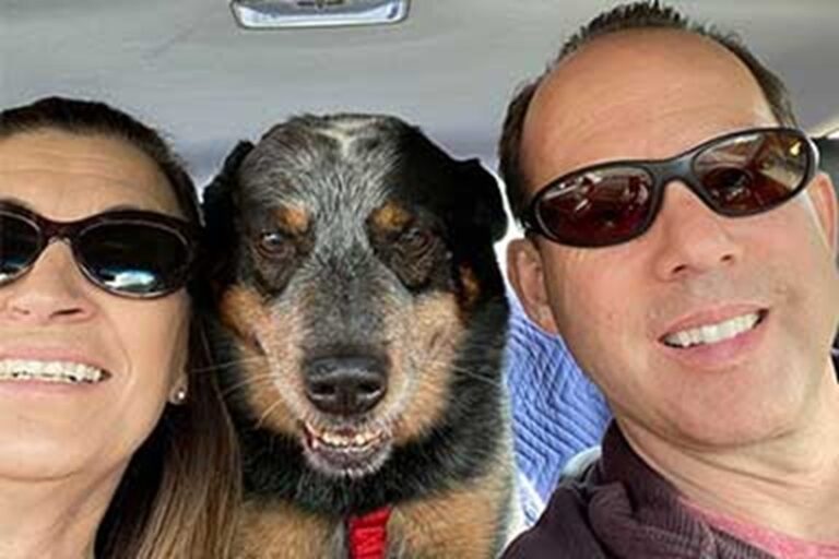 Trovato accanto al suo proprietario deceduto vicino a Sacramento, Baby Dog ha vegliato il corpo per giorni durante una tempesta di neve, mostrando una lealtà che ha commosso tutti.