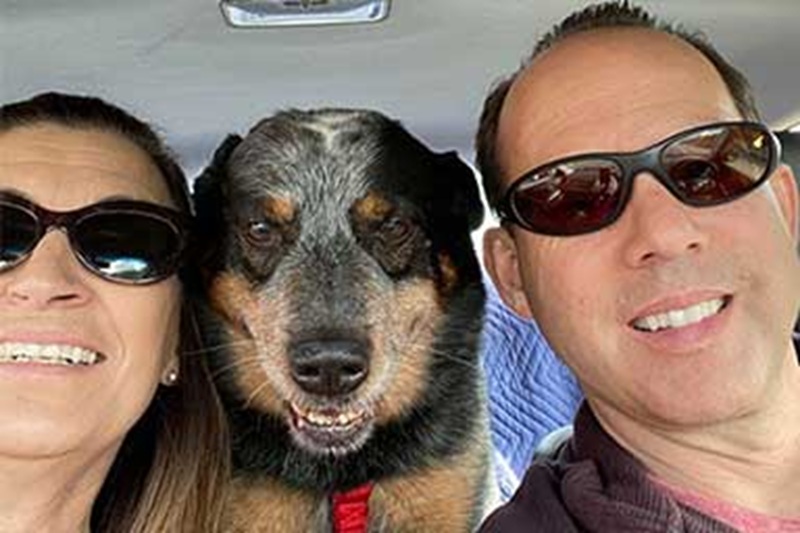 Trovato accanto al suo proprietario deceduto vicino a Sacramento, Baby Dog ha vegliato il corpo per giorni durante una tempesta di neve, mostrando una lealtà che ha commosso tutti.