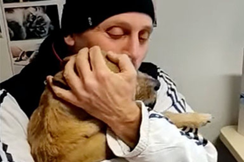 Il piccolo Ciuffo, scomparso a Viterbo, è stato ritrovato in Francia e ha riabbracciato la sua famiglia il 26 dicembre, dopo tre anni di ricerche ininterrotte.