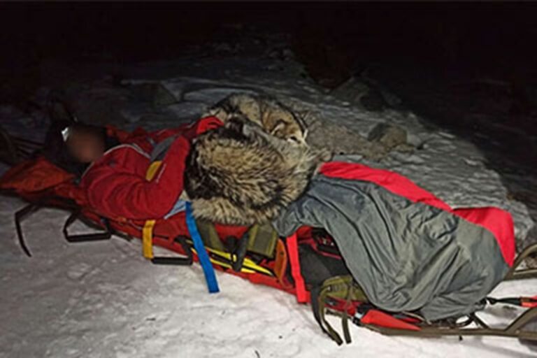 Nella catena del Velebit, in Croazia, l’alpinista Grga Brkić è sopravvissuto a una notte gelida grazie al suo cane North, che lo ha riscaldato con il proprio corpo fino all’arrivo dei soccorsi.