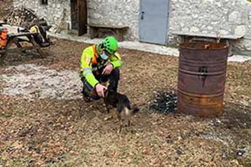 Un 33enne di Trieste sopravvive per sette giorni e sette notti sulle Prealpi Giulie grazie al cagnolino Ash, rimasto al suo fianco fino all’arrivo dei soccorsi.