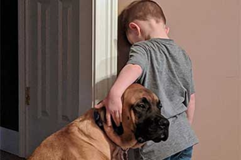Un bimbo di tre anni finisce in punizione e il suo cane non lo lascia solo: la foto di Peyton e Dash, un Mastiff, diventa virale negli Stati Uniti.