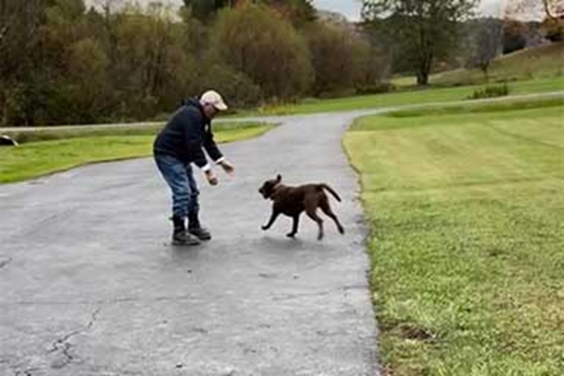 Trovata sola in una miniera di carbone, la cagnolina Sadie Kate oggi aspetta il suo salvatore in fondo alla strada, correndo verso di lui ogni giorno per ringraziarlo dell’amore ricevuto.