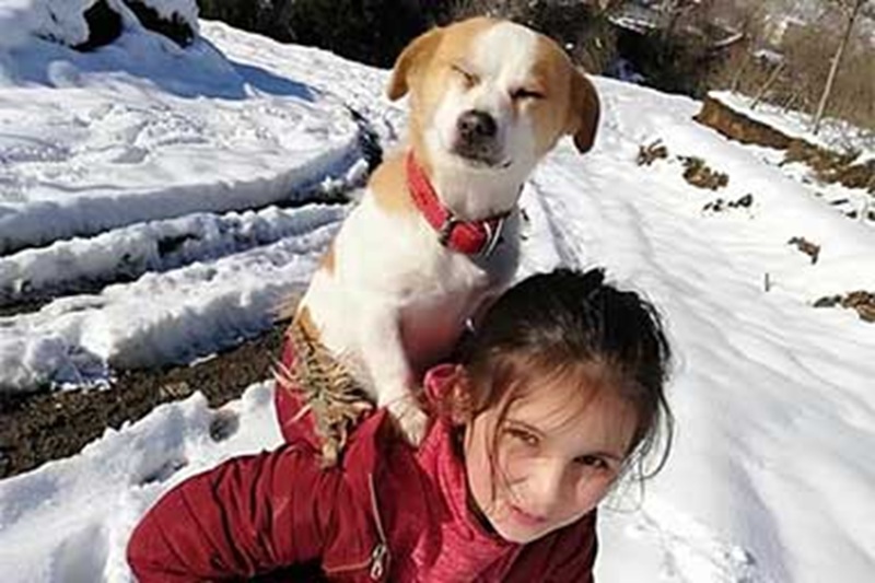 In Turchia, la piccola Cemre, di 9 anni, percorre oltre due chilometri sulla neve portando il suo cane malato dal veterinario Ogün Öztürk, regalando una lezione di amore e dedizione.
