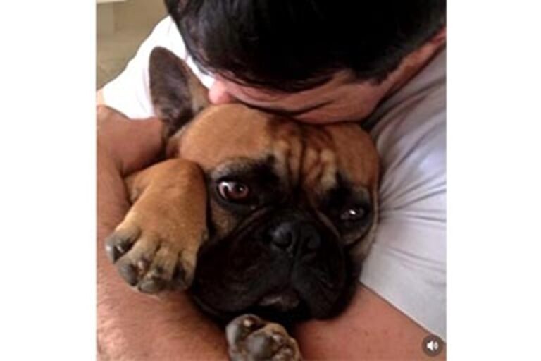 Il sacerdote brasiliano Fábio de Melo ha dedicato un messaggio struggente alla sua cagnolina Luquinha, un Bulldog francese a cui era profondamente legato.