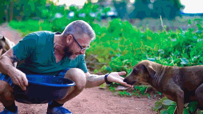 Un uomo viene morso da una cagnolina randagia mentre cerca di aiutarla. Invece di allontanarla, sceglie di comprenderla e costruisce con lei un legame quotidiano.