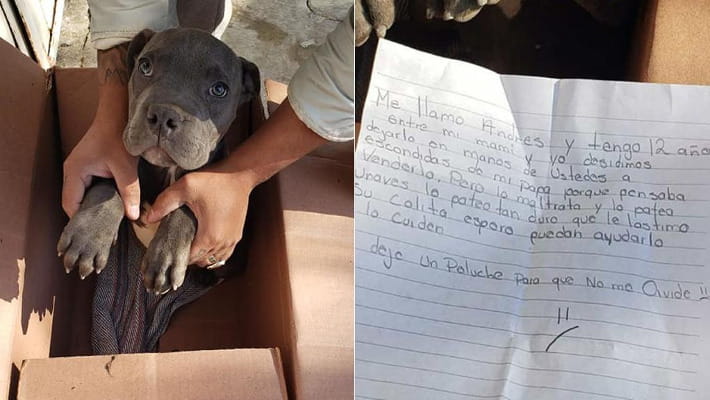 Un ragazzo messicano affida il suo cane a un rifugio per sottrarlo alle violenze domestiche. In una lettera promette che tornerà a riprenderlo quando potrà proteggerlo.