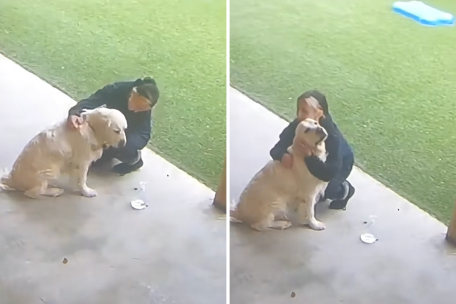 Un Golden Retriever di tre anni viene ripreso dalle telecamere mentre resta solo all’asilo per cani. Un semplice ritardo scatena una scena che commuove migliaia di persone.