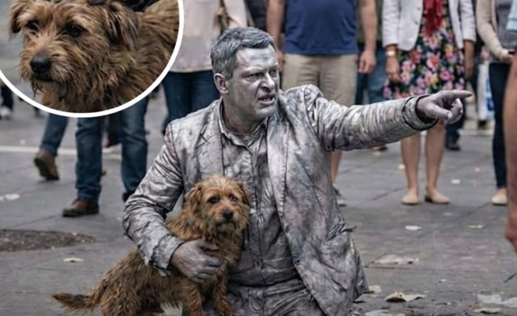 Un artista di strada, noto come “Uomo d’Argento”, ha interrotto la sua esibizione restando immobile per ore, intervenendo improvvisamente per proteggere un cane da un uomo che stava per colpirlo.