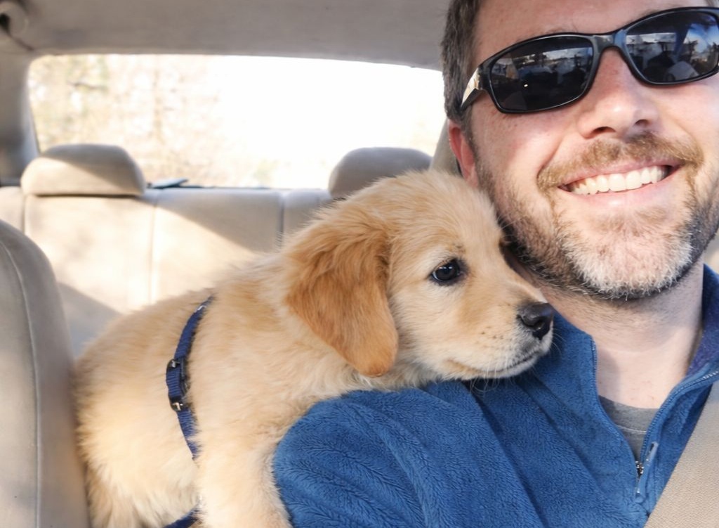 Una cagnolina viene adottata e, già durante il viaggio in auto, mostra un atteggiamento sereno e curioso, segno di un immediato adattamento alla nuova vita.