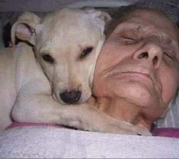 Un’anziana donna malata muore durante la notte nella sua abitazione. Al mattino i figli la trovano senza vita nel letto, con il cane stretto accanto al suo corpo.