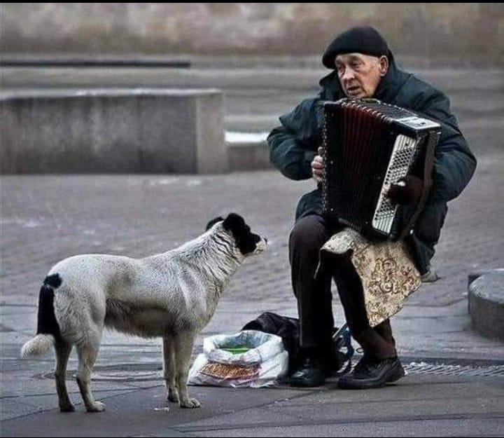 Un uomo senza fissa dimora raccoglieva offerte non per sé, ma per nutrire l’unico affetto rimasto nella sua vita: il suo cane.