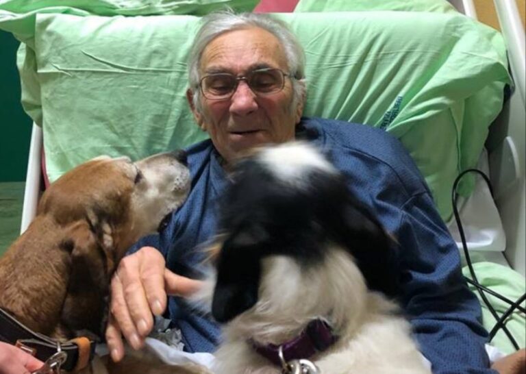Un uomo di 86 anni ricoverato dopo un ictus ottiene di rivedere i suoi cani in ospedale. Pochi minuti di incontro che precedono il decesso, avvenuto poco dopo.