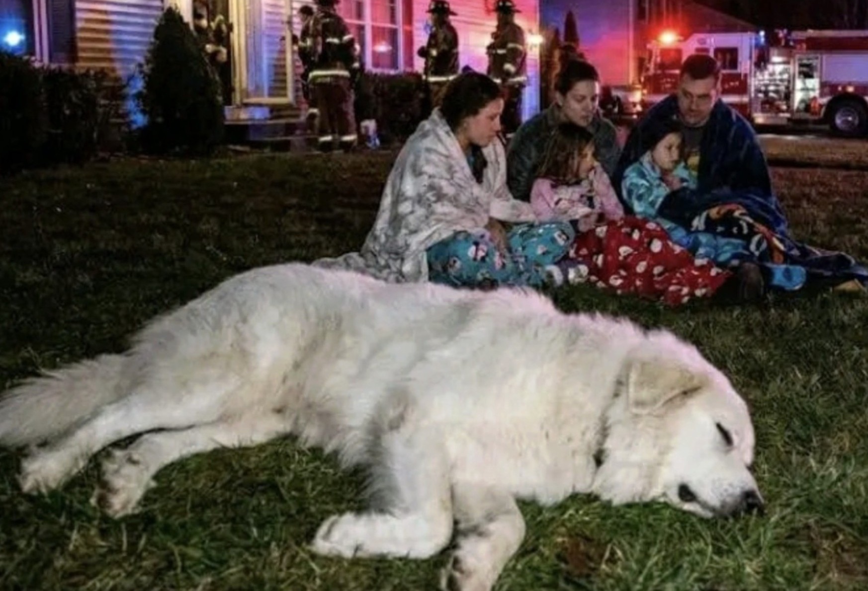 Un cane da montagna dei Pirenei noto per la sua pigrizia si rivela decisivo durante una fuga di monossido notturna, svegliando una famiglia e salvandole la vita.