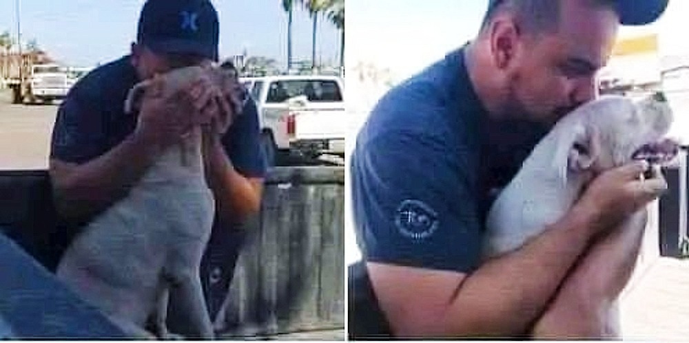 La malattia e la decisione più difficile Il cane, di nome Mace, era affetto da una patologia oncologica in fase avanzata. Le condizioni fisiche si erano progressivamente aggravate, riducendo la qualità della vita nonostante le cure. Secondo quanto riferito dal proprietario, l’animale non manifestava segni di aggressività o lamentele, ma mostrava stanchezza e una crescente difficoltà nei movimenti. Dopo valutazioni veterinarie e un periodo di riflessione, è stata presa la decisione di procedere con l’eutanasia, ritenuta l’unica soluzione per evitare ulteriori sofferenze. L’ultimo giro in auto come gesto di commiato Prima dell’intervento, il proprietario ha scelto di compiere un gesto simbolico: accompagnare Mace in auto per un ultimo tragitto, un’abitudine che il cane aveva sempre apprezzato. Durante il percorso, l’animale è rimasto tranquillo, affacciato al finestrino, reagendo agli stimoli esterni come aveva sempre fatto. In quel breve intervallo, non sono stati rilevati segni evidenti di dolore o agitazione. Il momento è stato vissuto come un commiato silenzioso, privo di fretta, dedicato esclusivamente al rapporto costruito nel tempo. Il saluto finale e il silenzio dopo l’addio Al termine del percorso, l’eutanasia è stata eseguita senza complicazioni. Il cane è rimasto calmo, appoggiando la testa sul proprietario fino alla fine. Dopo la procedura, l’abitazione e gli spazi condivisi hanno assunto un carattere di vuoto e silenzio, tipico delle situazioni di lutto legate alla perdita di un animale domestico. La vicenda evidenzia come, in alcuni casi, il distacco venga affrontato attraverso rituali personali che aiutano a dare senso a una scelta inevitabile.