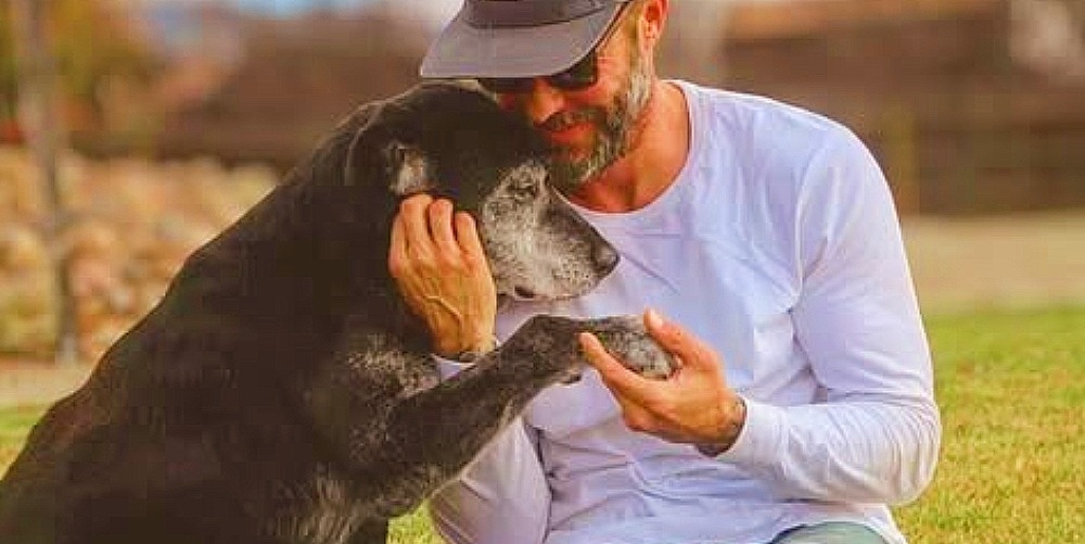 Un cane di sedici anni, malato di cancro e ignorato in un rifugio della California, sorprende tutti dopo l’adozione e vive i suoi ultimi anni circondato dall’amore.