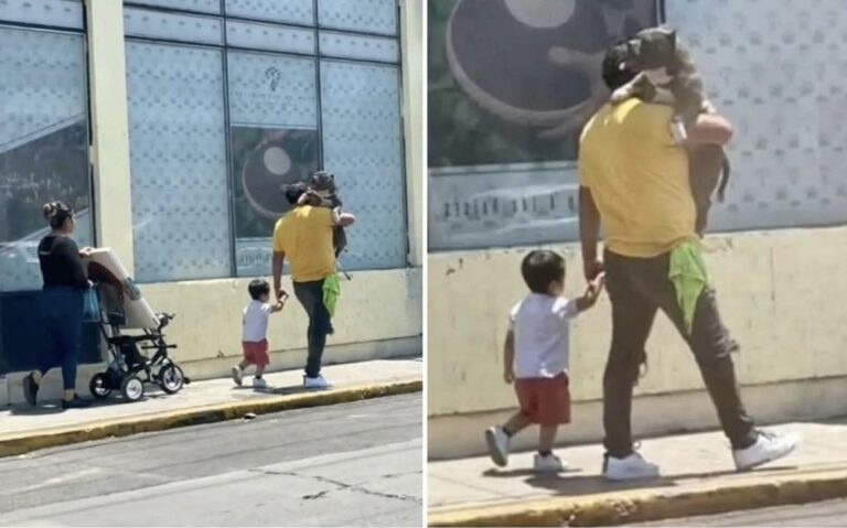 Un padre viene criticato per aver preso in braccio il suo cane invece del figlio. Spiega che l’asfalto era rovente e l’animale si stava bruciando le zampe.