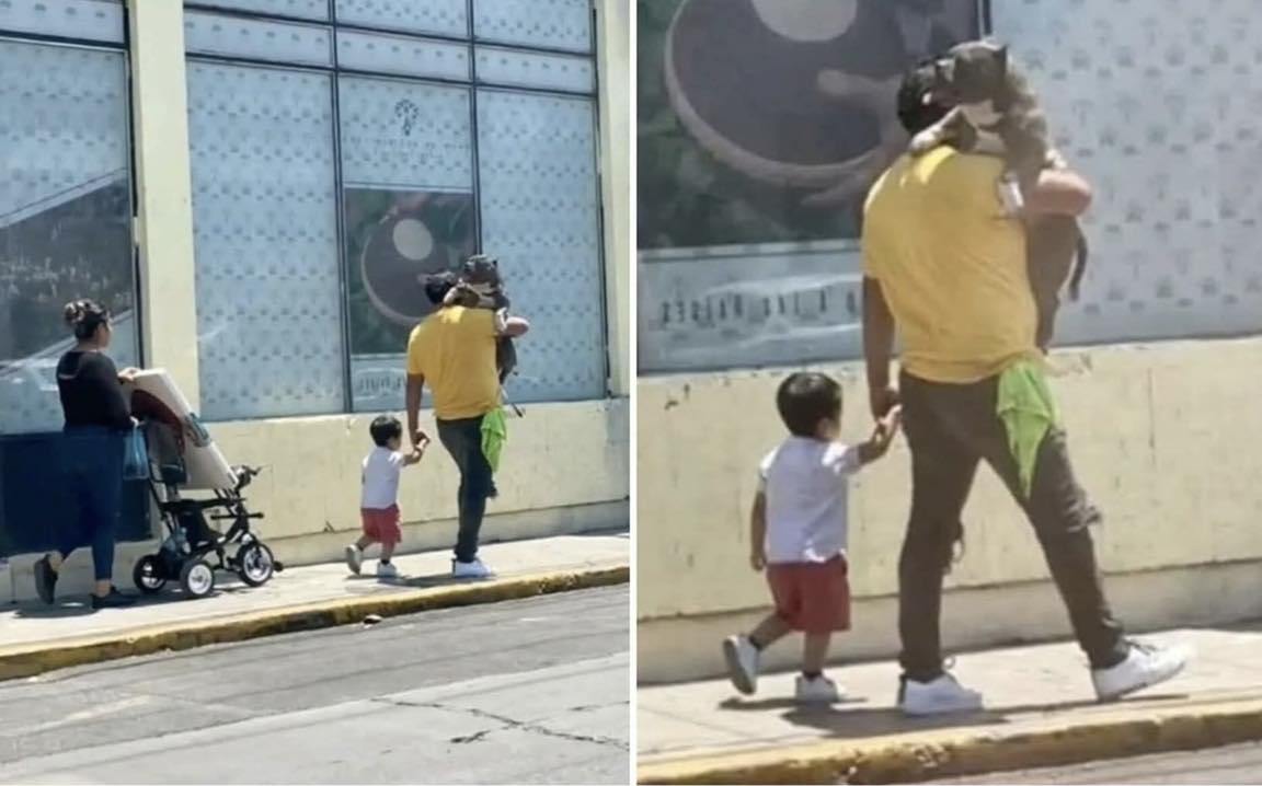 Un padre viene criticato per aver preso in braccio il suo cane invece del figlio. Spiega che l’asfalto era rovente e l’animale si stava bruciando le zampe.