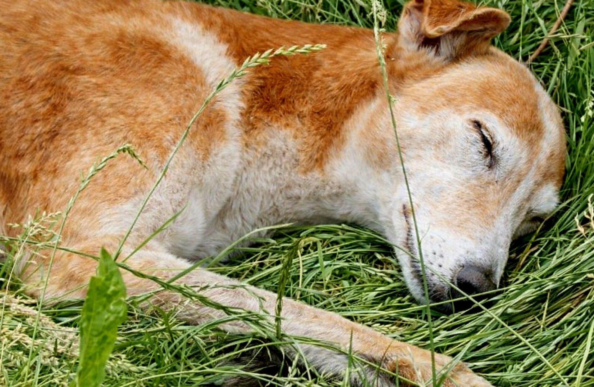 Doveva iniziare una nuova vita il 26 gennaio 2026. Il 25 gennaio, invece, Maria si è spenta serenamente dopo un improvviso peggioramento delle condizioni.