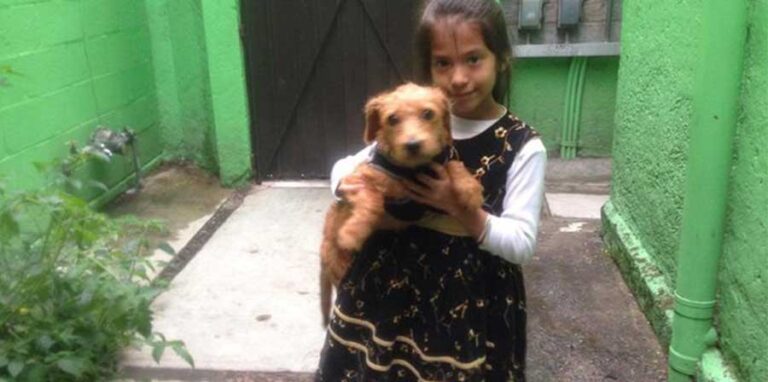 Un giorno, tornando a casa dopo la scuola, Sol, una bambina messicana di sette anni, si è accorta che qualcosa non andava. Il suo cane Morgan non c’era più.