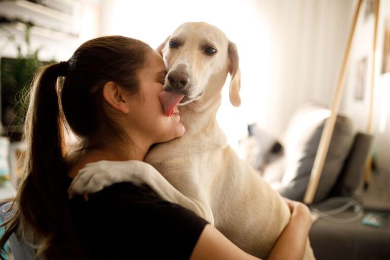 Il comportamento del cane che lecca la pelle umana non è casuale: dietro un gesto apparentemente semplice si nascondono dinamiche biologiche, emotive e relazionali complesse.