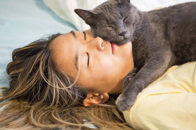 L’amore di un gatto non è rumoroso né plateale: si manifesta attraverso fiducia, presenza costante e piccoli comportamenti quotidiani che raccontano un legame profondo e autentico.