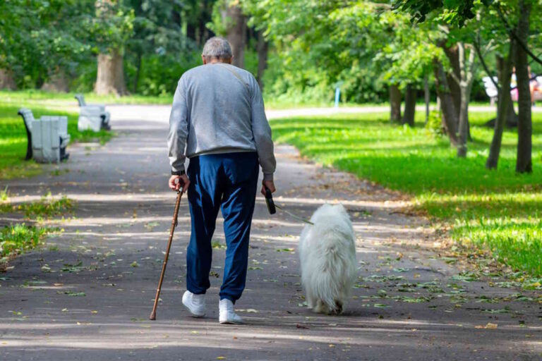 Un uomo di novantacinque anni e la sua cagnolina anziana non si sono mai separati. Camminavano insieme ogni mattina. Se ne sono andati lo stesso giorno, nella stessa casa.