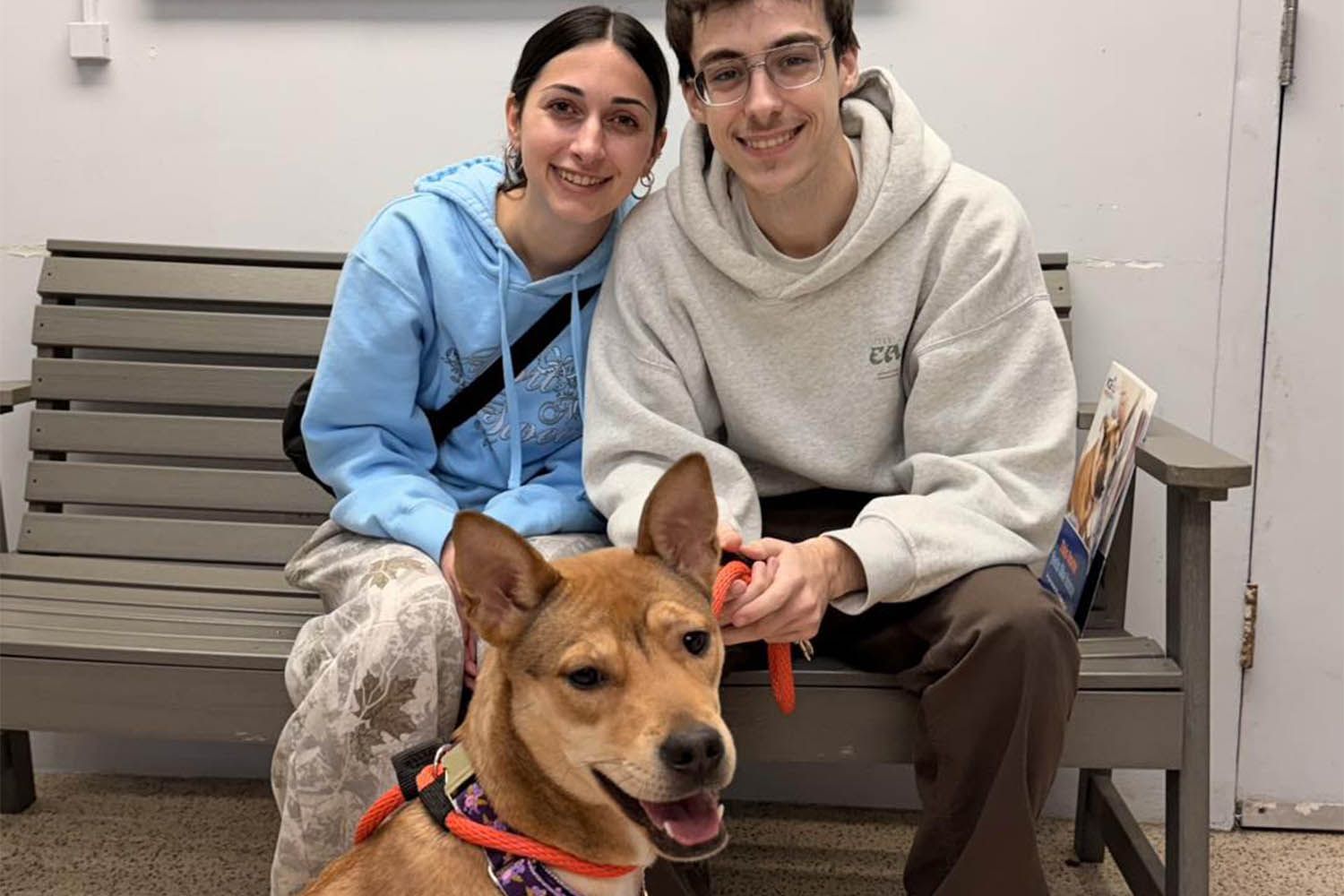 Un cane abbandonato dopo dieci anni viene adottato dal rifugio. Arriva debilitato e impaurito, ma trova una nuova casa pronta a garantire cure, stabilità e continuità.