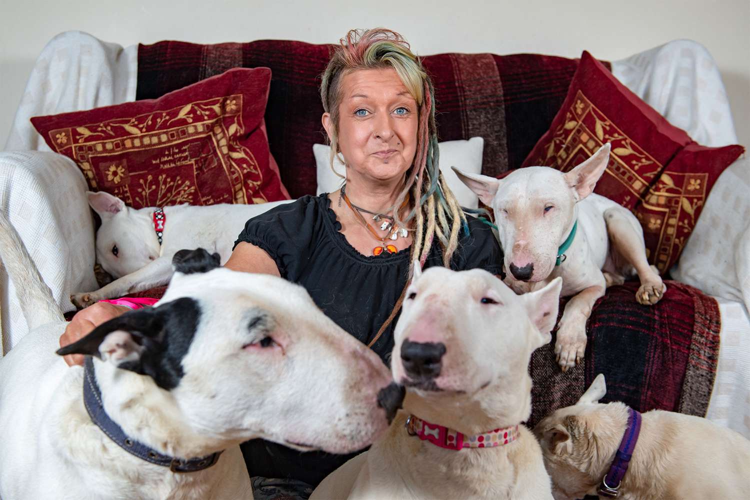 Una donna inglese lascia il marito dopo un ultimatum: scegliere tra il coniuge o trenta cani salvati. Lei non esita e continua la sua vita dedicata ai Bull Terrier.