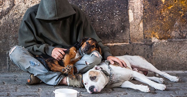 Per settimane un corriere ha inventato un lavoro per un uomo che viveva in auto, usando il cane come scusa. Poi un giorno l’uomo è scomparso e la verità è emersa.