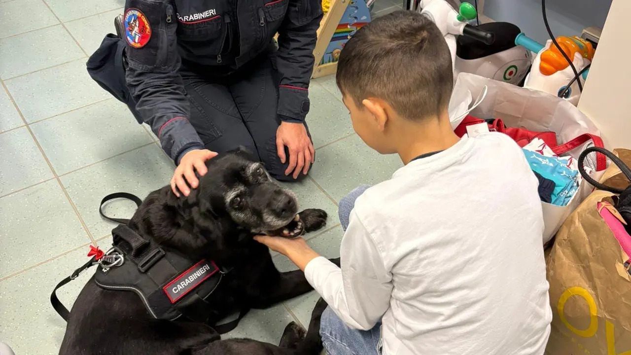 Una visita speciale nel reparto di Pediatria dell’ospedale San Giuseppe Moscati di Avellino ha regalato sorrisi ai bambini ricoverati grazie alla presenza di un cane carabiniere.
