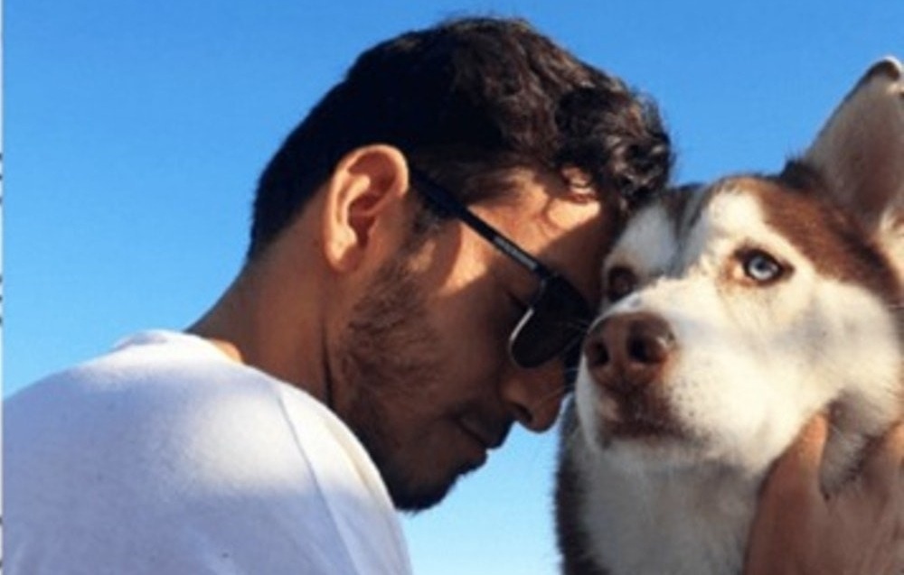 Dante, cane di otto anni, smette di mangiare dopo la morte improvvisa di Eliot; due giorni dopo il funerale si spegne senza cause fisiche, secondo il veterinario “di tristezza”.
