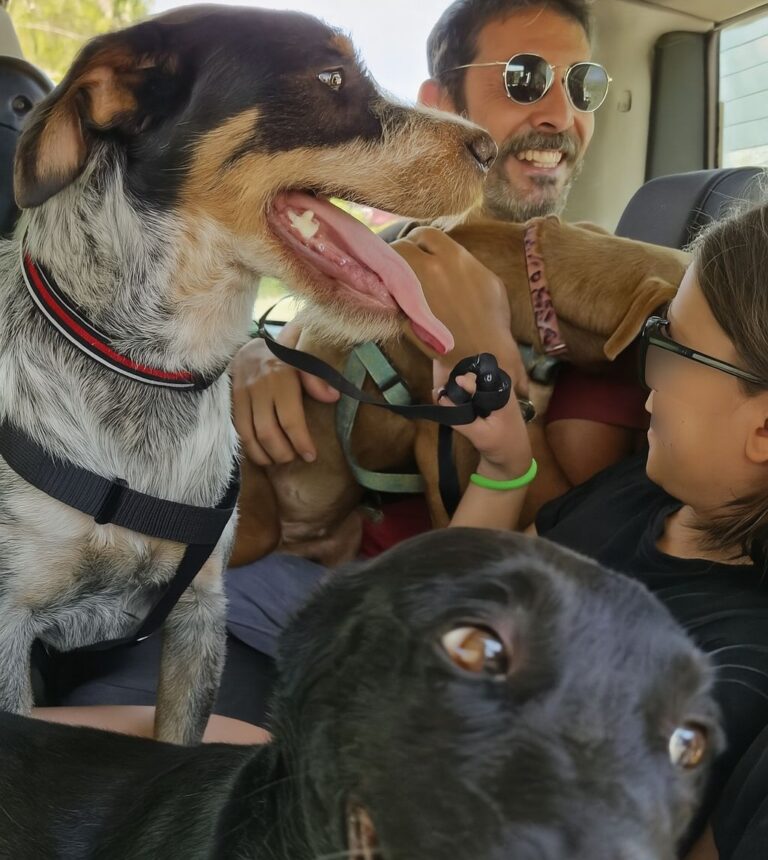All’open day di Amici del Cane di Latina una famiglia doveva adottarne uno. Scopre un legame speciale e porta a casa Rocky, Pallino ed Elsa.