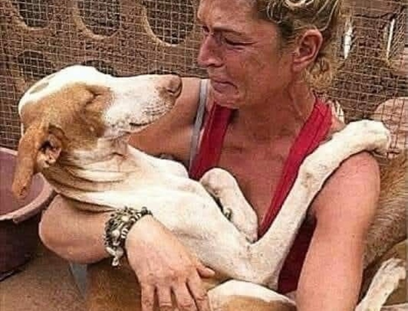 Entrata per adottare un cucciolo, cambia idea davanti a una cagnolina cieca e sola. La porta a casa e le offre una nuova vita.