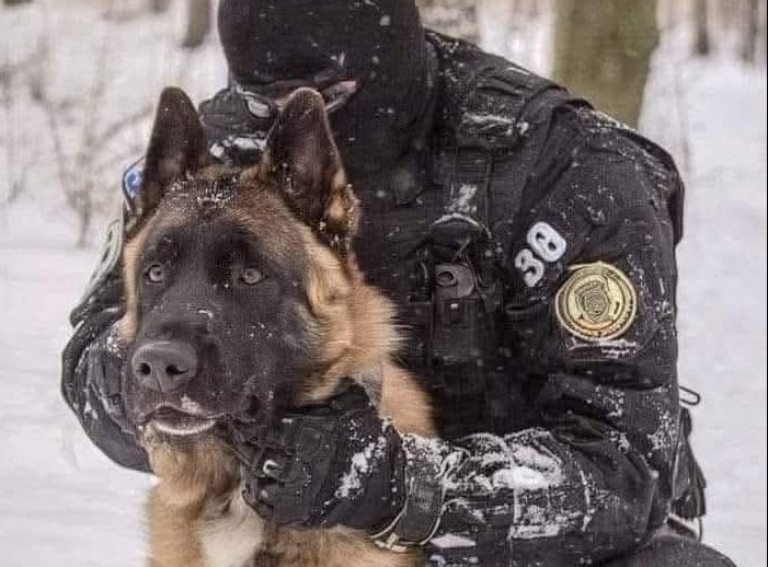 Il K9 Jethro è stato raggiunto da tre colpi di arma da fuoco durante un’operazione; è ricoverato e sottoposto a intervento chirurgico mentre colleghi e cittadini seguono con apprensione le sue condizioni.