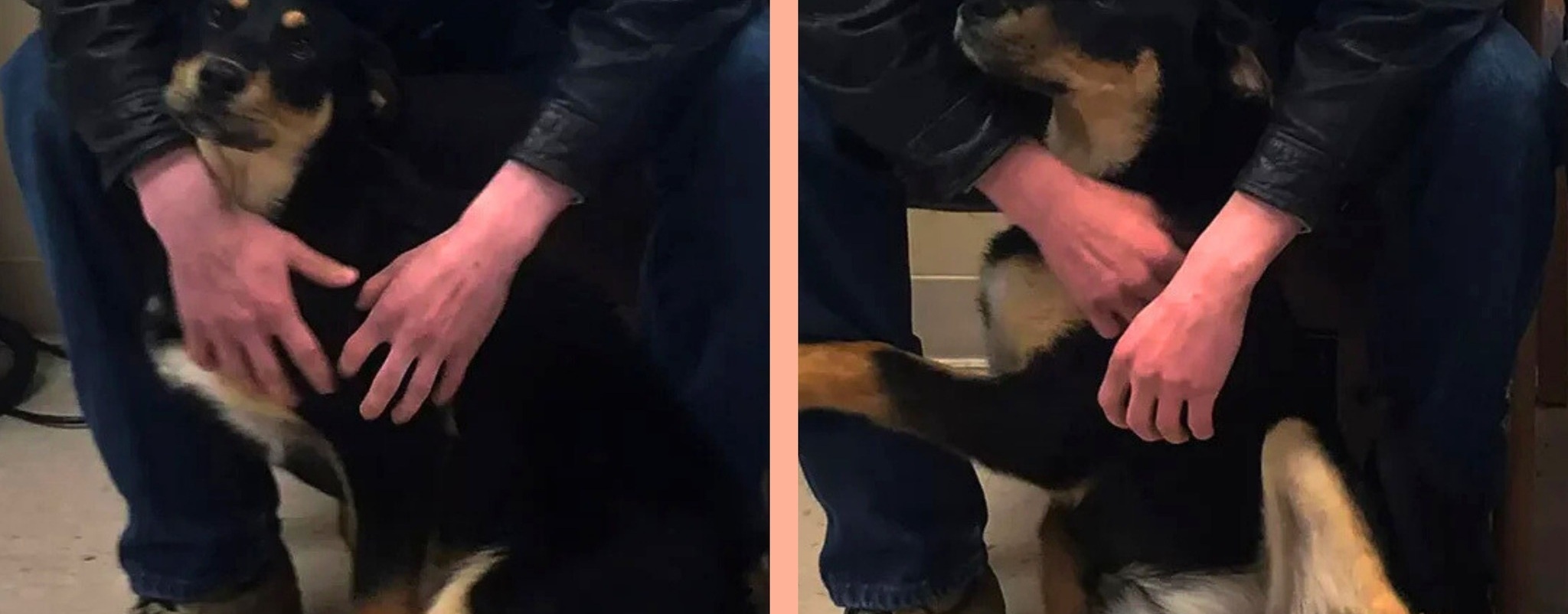 Un ragazzo senza casa rinuncia alla sua cagnolina per proteggerla; la storia commuove il Mississippi e una famiglia decide di aiutare entrambi, riunendoli.