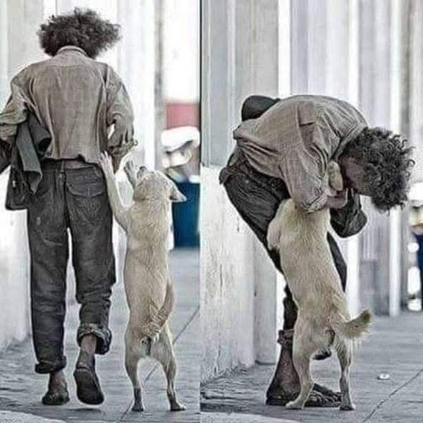 Un cane racconta l’incontro con un uomo triste e solo. Lo segue, lo abbraccia e sceglie di restare con lui, cambiando per sempre due vite.