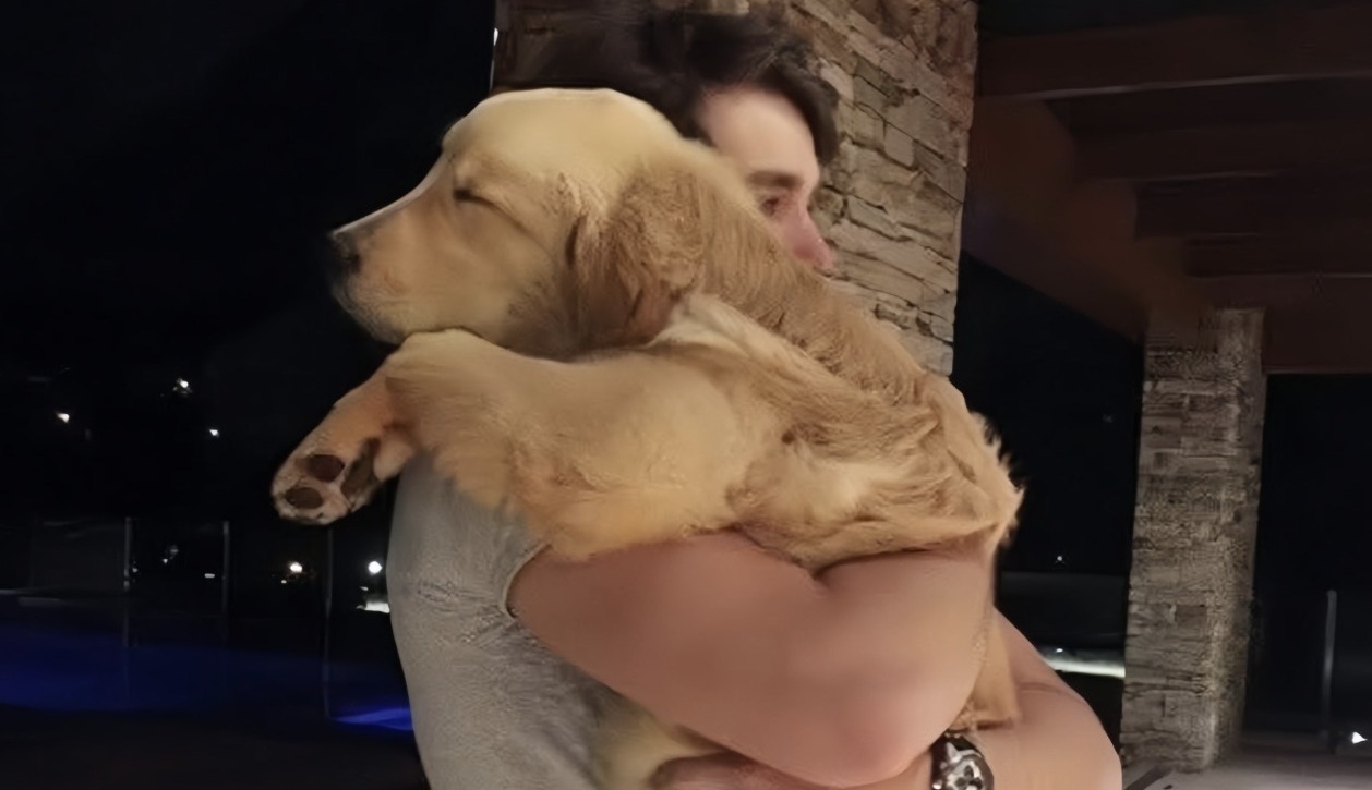 Dopo due anni di assenza per lavoro all’estero, un uomo rientra finalmente a casa. Il ricongiungimento con la sua golden retriever, che lo ha atteso quotidianamente davanti alla porta, commuove l’intera famiglia.