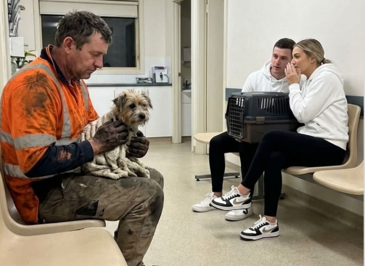 In una clinica veterinaria notturna, un operaio salva il suo cane con un intervento urgente e aiuta anche una giovane coppia in difficoltà economica.