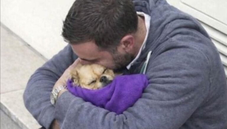 Ogni mattina li vedeva sui gradini dell’ufficio. Poi una notte vengono separati. Decide di intervenire e li riporta uno accanto all’altra.