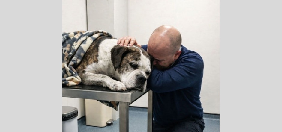 Dopo quasi dieci anni di servizio operativo, un cane poliziotto muore per l’età. Il suo agente lo saluta: “Non era un animale, era il mio partner”.