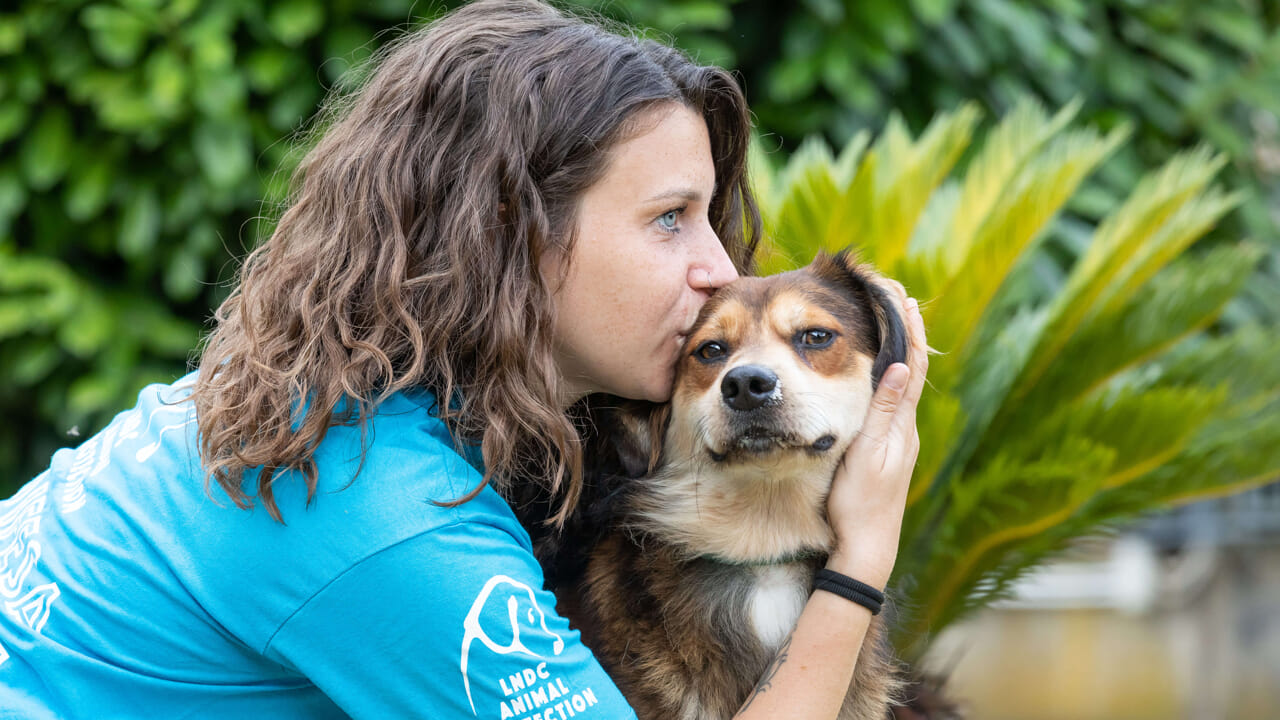 Un’adozione viene cancellata poco prima della consegna. Il cane, già pronto a partire, trova stabilità proprio con la persona che lo stava accompagnando.