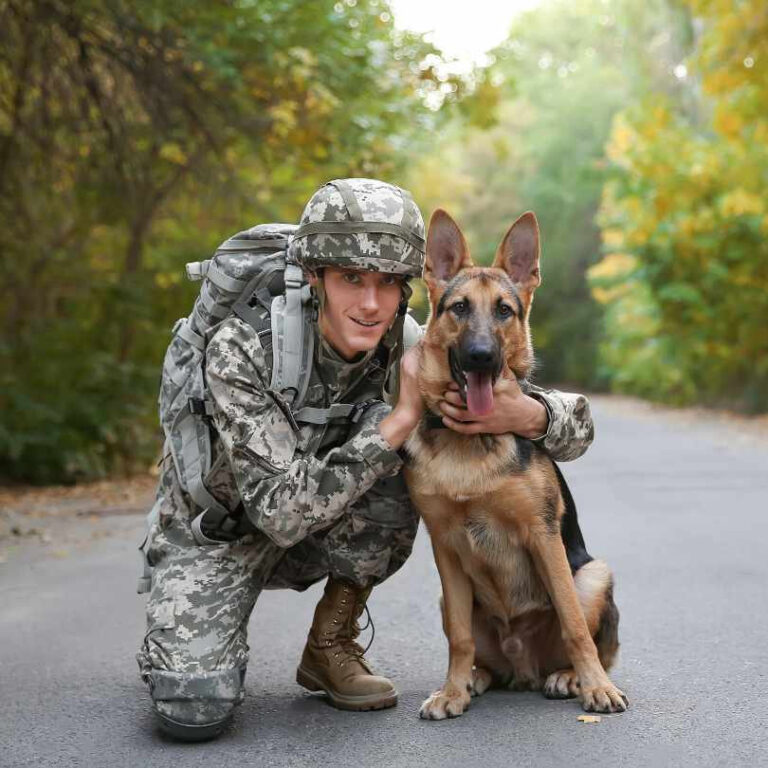 Un cane militare impiegato per anni in missioni operative viene abbandonato dopo il pensionamento. Solo molto tempo dopo, una ricerca familiare riporta dignità a una fedeltà assoluta.