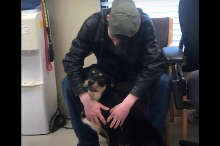 Un 17enne senza casa affida la sua cagnolina Jada al rifugio di Senatobia-Tate County in Mississippi per garantirle sicurezza. La solidarietà aiuta entrambi.
