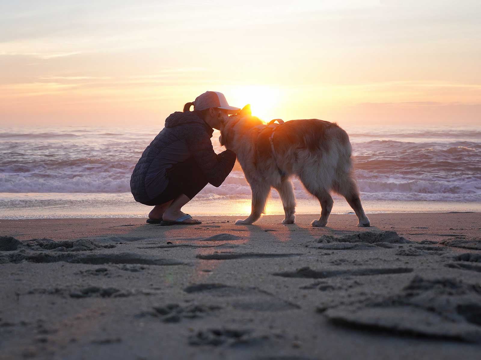 Legato a una catena con gravi ferite, Caos viene salvato nel 2012. Vive altri due anni e sette mesi, trasformando la vita della famiglia che lo accoglie.