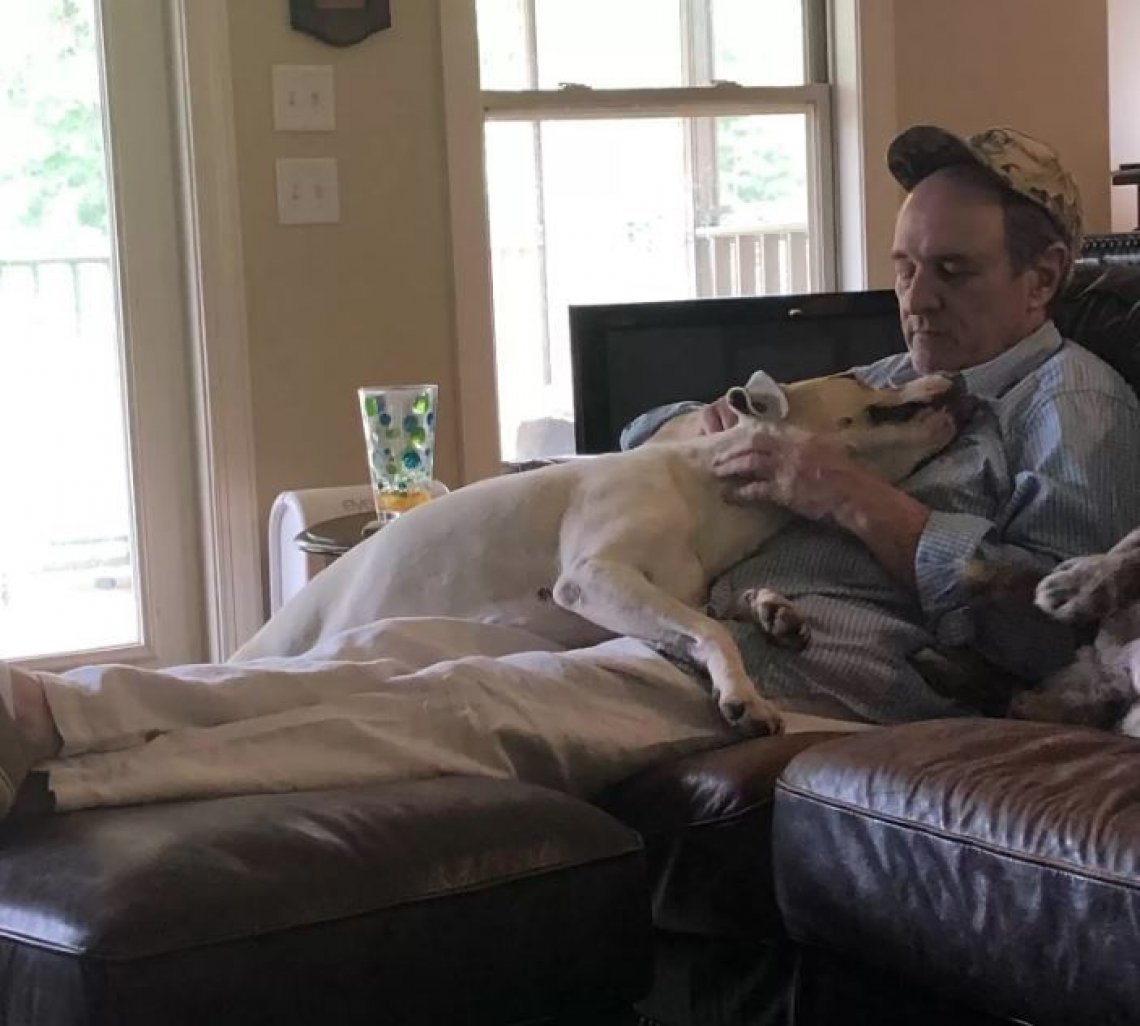 Un uomo sceglie di dormire al piano di sotto per restare accanto al suo cane anziano, ormai incapace di salire le scale, mostrando un legame profondo.