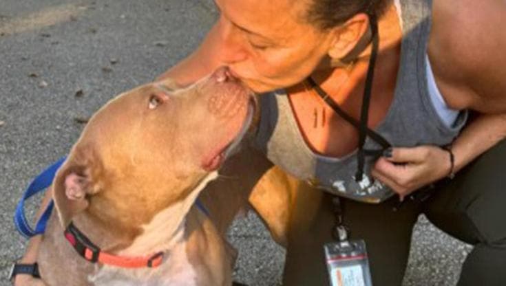 Dopo un anno senza notizie, un uomo ritrova il suo cane in un rifugio poco prima dell’eutanasia grazie a una foto pubblicata sui social.